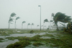 hurricane winds hurricane winds